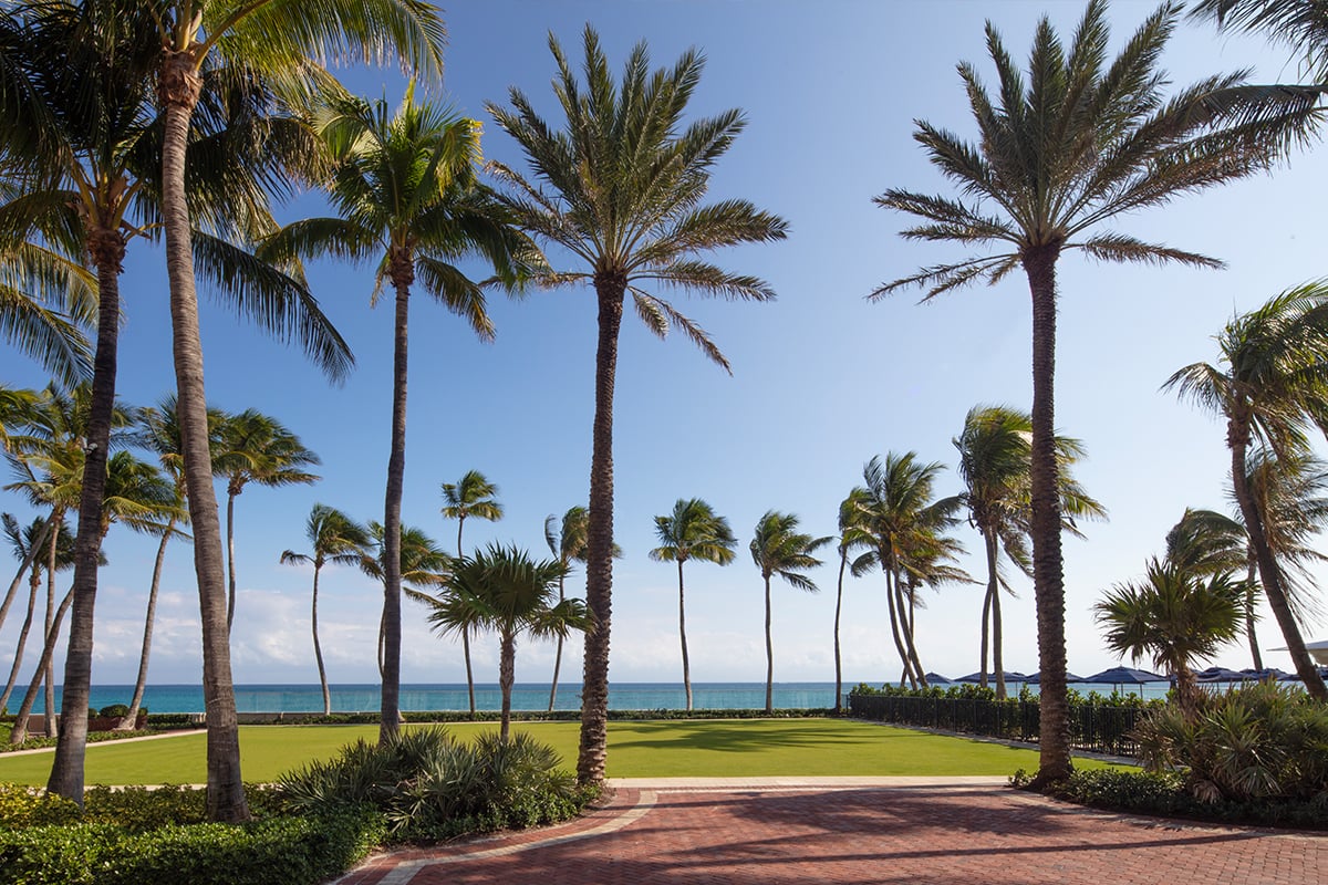 The Ocean Lawn at The Breakers — a manicured green framed by tall palms with the Atlantic Ocean beyond.